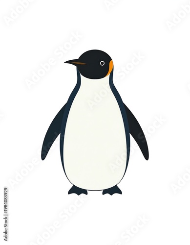 A cartoon-style illustration of an emperor penguin on a solid white backdrop