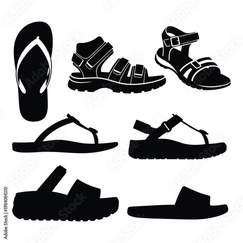 Collection of various sandals and flip flops for summer footwear illustration  different styles and designs