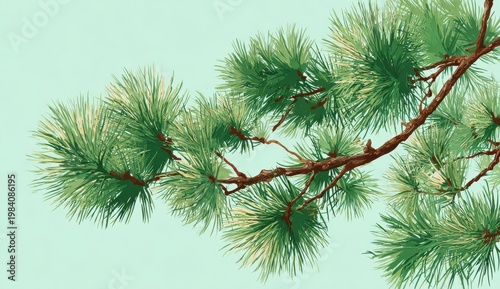 Detailed Pine Branch With Green Needles Against A Soft Blue Sky