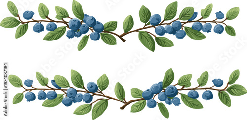 2 sets of symmetrical blueberry branches with clipping paths