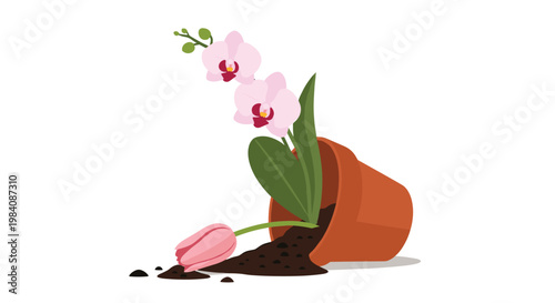 Tipped over terracotta flower pot lies on its side with spilled soil and a broken tulip while a pink orchid remains inside.