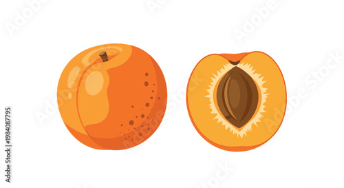 Realistic illustration of a whole orange apricot next to a sliced half showing the inner pit against a clean white background.