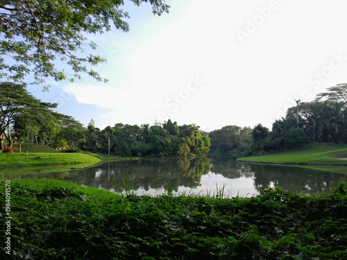 outdoor green park with pond