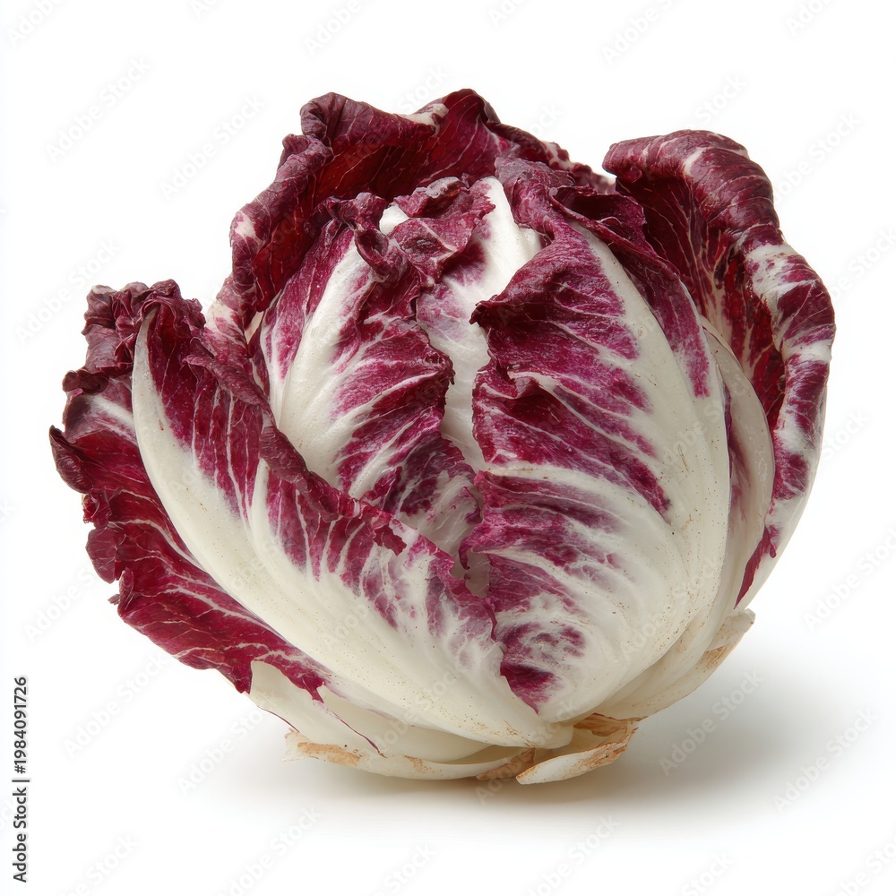 Obraz premium Fresh Radicchio Lettuce With White And Purple Leaves Isolated On White Background Studio Shot