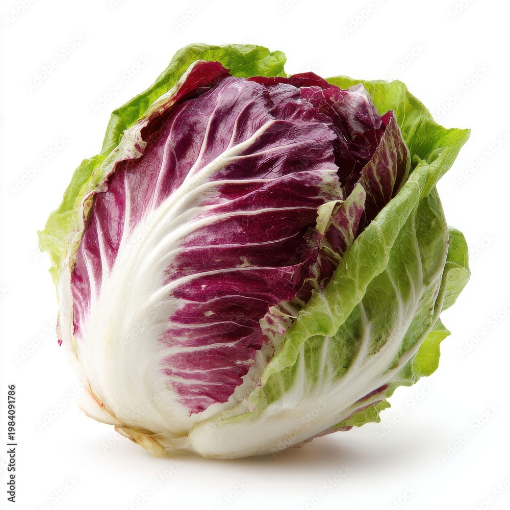 Obraz premium Fresh Radicchio Vegetable Isolated on White Background Studio Shot Healthy Food