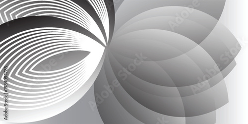 Abstract geometric design with smooth layered curves and overlapping elliptical shapes, background Clean modern composition,