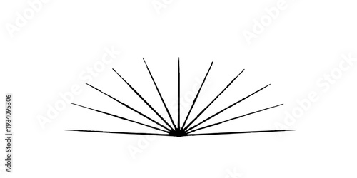 A black and white macro closeup of an isolated feather and dandelion seed plant with an abstract texture of summer flora