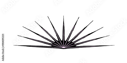 Abstract black and white background made of splashes and paper textures featuring a macro dandelion seed and floral nature elements for a spring celebration