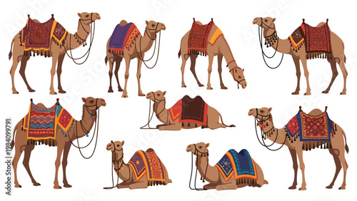 Diverse collection of camels in various standing and sitting poses decorated with colorful traditional saddles and bridles.