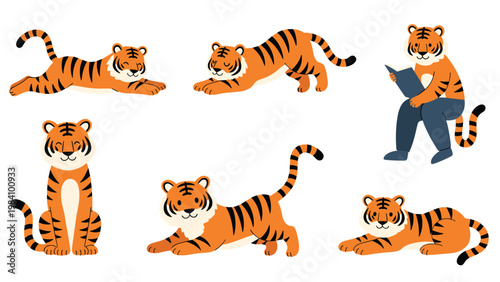 Set of cute tiger characters in different active and resting poses such as sitting, stretching, reading, and sleeping.