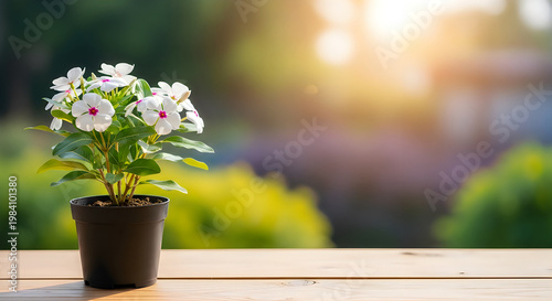 Beautiful flowers for mother's day a blooming gift of love and appreciation