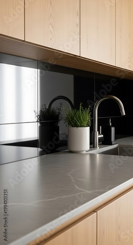 Modern Kitchen Countertop with Faucet and Plant.