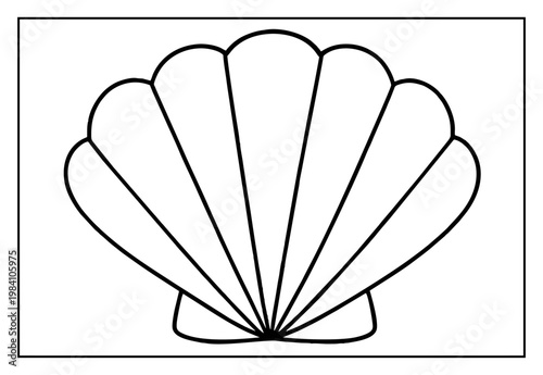 Seashell Outline Vector Line Art