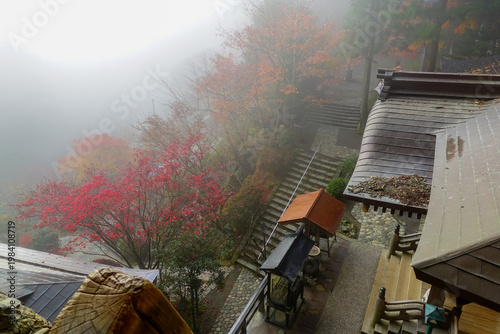 Elevated view of misty temple grounds on Shikoku Henro with autumn foliage and stone steps in Japan