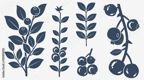 Stylized, blue-toned illustration of various blueberry branches and berry clusters on white