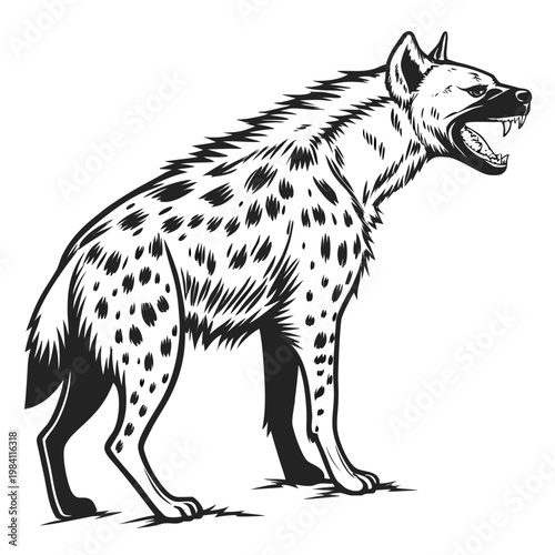 Detailed outline drawing of a spotted hyena snarling with open mouth, line art