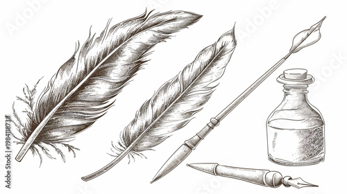 Sketch of vintage writing implements feathers, inkwell, quill and a pen, on a white background