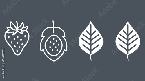 White outlined strawberry, seed pod, and leaf icons on a muted grey background