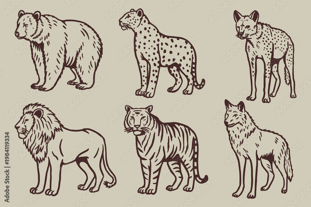 Fototapeta premium Vintage Hand-Drawn Carnivore Animal Illustration Set in Engraving Style