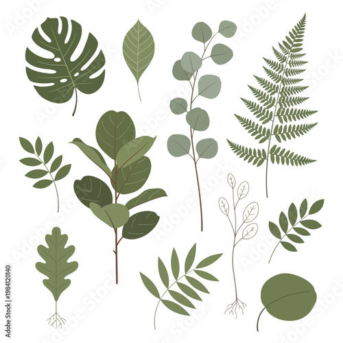 Botanical Illustration: Assorted Green Leaves and Ferns, Vector Elements