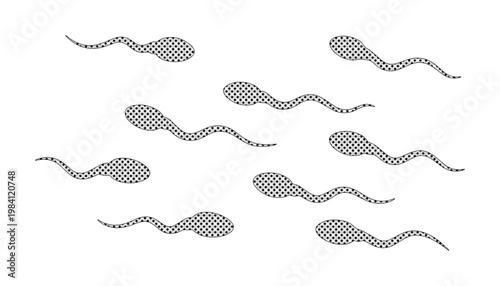 Microscopic sperm cells, human spermatozoa, male reproductive biology, fertility and conception, medical science vector illustration