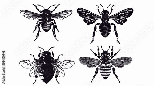 Graphic illustration of four different stylized bees in black ink on a white background