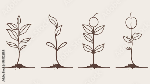 Four seedling line art illustrations on beige background