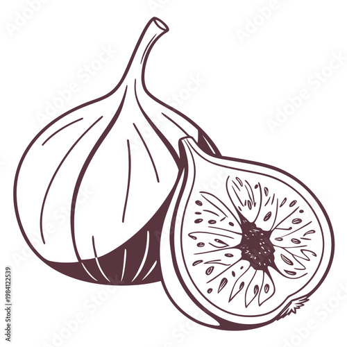 Fig fruit drawing showing whole fruit and sliced half with seeds, interior