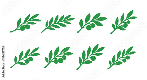 Conjunto de ocho ramas de olivo verdes, iconos vectoriales de hojas de olivo, elementos gráficos botánicos para diseño de alimentos y cosméticos