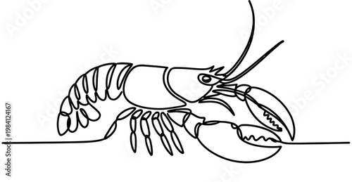 Continuous line drawing of a lobster with large claws and long antennae on a white background Vector, illustration