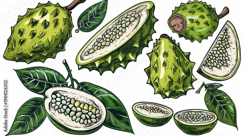 Graphic illustration of assorted sliced and whole thorny melon, vibrant green leaves