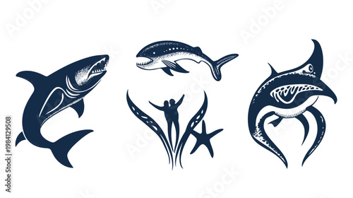 Stylized illustrations of marine life, including sharks, a fish, divers, and a starfish