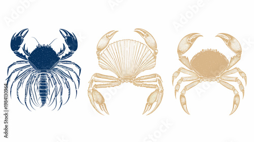 Three stylized crab illustrations in varied colors, set against a plain white background
