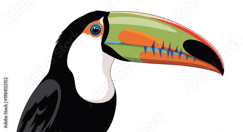 Colorful Toucan Bird Head Illustration.