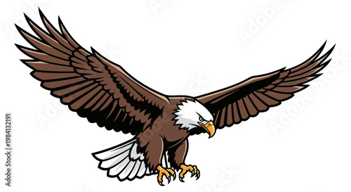 American Bald Eagle in Flight Posture.