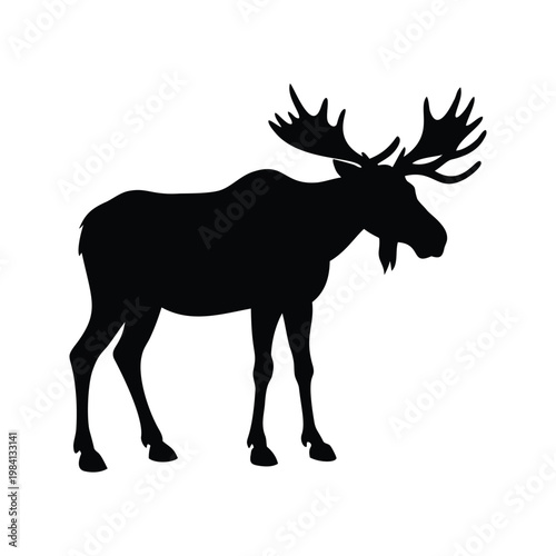 Silhouette of a majestic moose standing in a natural pose, detailed vector illustration, moose silhouette vector illustration