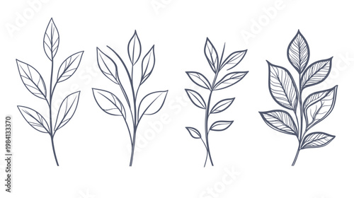 Four stylized botanical illustrations featuring branches with leaves, depicted in a minimalist black-and-white style