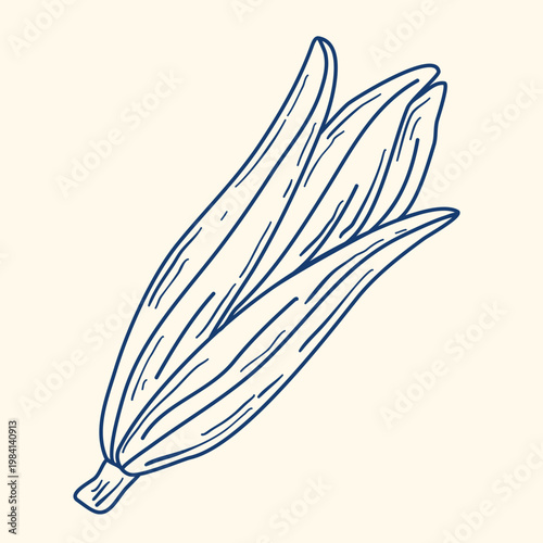 Ear of corn hand drawn blue ink clip art illustration. Doodle vegetable in Mediterranean style. Healthy organic food. Vector graphic