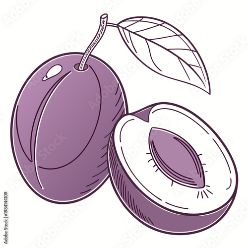 Illustration of a whole plum and a half plum with pit vitamin c vitamin