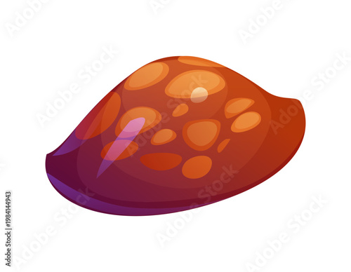 Ocean bottom cowrie cartoon seashell or mussel. Tropical sea fauna cartoon shell, ocean life aquatic mussel. Coral reef isolated seashell