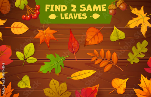 Kids game worksheet, find two same autumn leaves. Cartoon vector puzzle, educational activity riddle for children with fall foliage on wooden background. Seasonal learning task for preschool kids