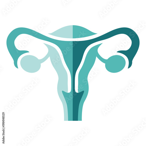 Female Reproductive System Anatomy Vector Illustration