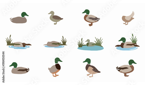 Quadro su tela Chicken farm icon flat vector poultry symbol set
Keywords (30)