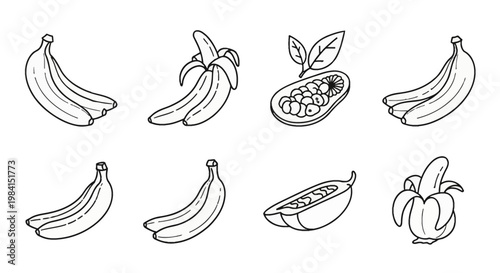 Minimalist black and white line art icons featuring whole banana bunches, partially peeled bananas, and halved papaya fruit with visible seeds and leaves on a white background.