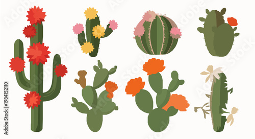 Cute cartoon cactus desert plants flat vector set blooming EPS10 isolated on white