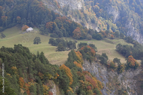 Foto Autumn forest blankets rocky mountainside