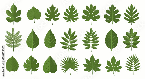 Comprehensive collection of various green leaf shapes including tropical palm, fern, heart-shaped foliage, and serrated margins, isolated flat vector icons on a white background.