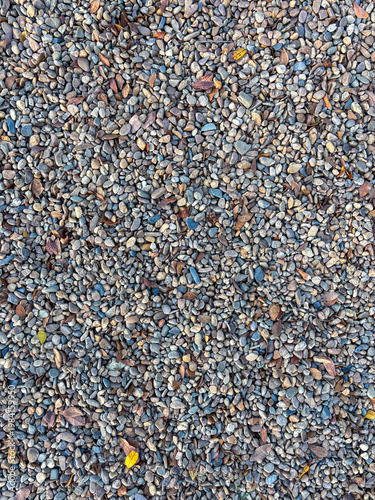 Closeup Gravel and Pebbles Surface with Dried Leaves