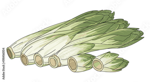 A bundle of fresh, pale green endives, some whole and some with their tops trimmed, demonstrating their readiness for culinary use.