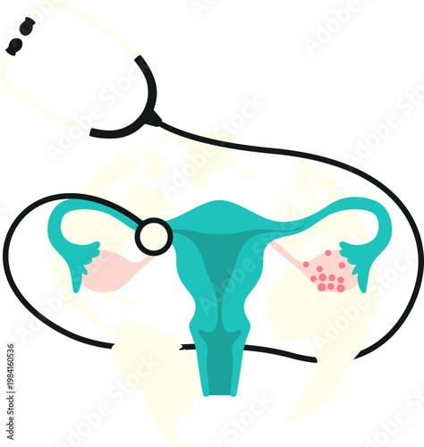 Female Reproductive System Anatomy